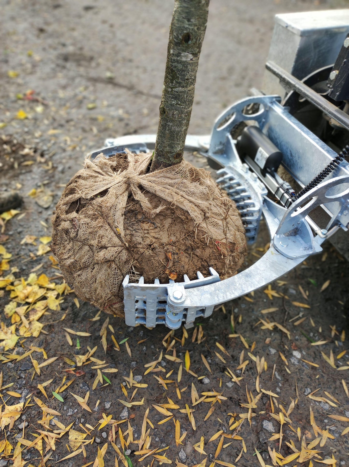 ELECTRIC TROLLEYS FOR TRANSPORT AND CLEANING