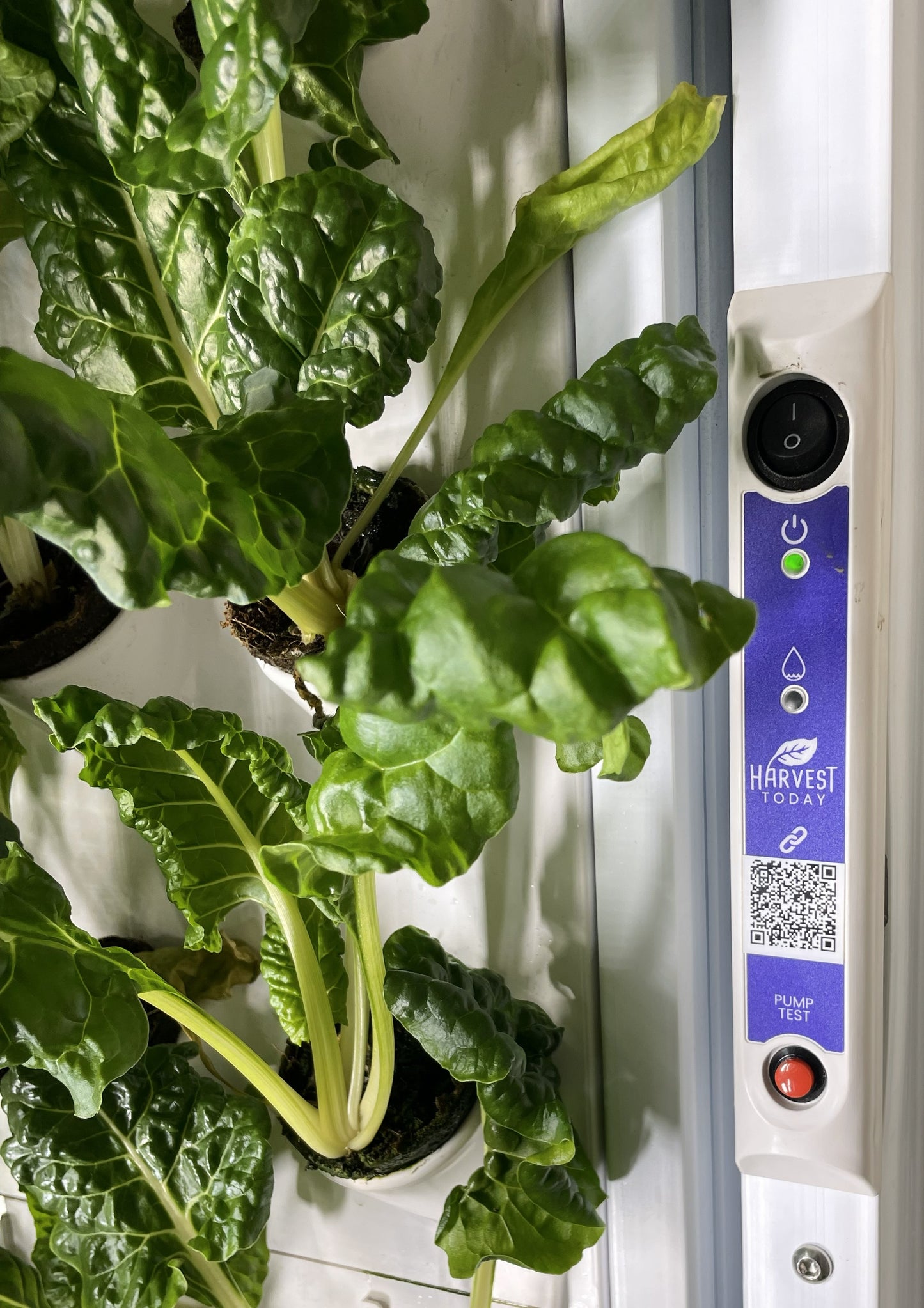 INDOOR HYDROPONIC GROW WALL