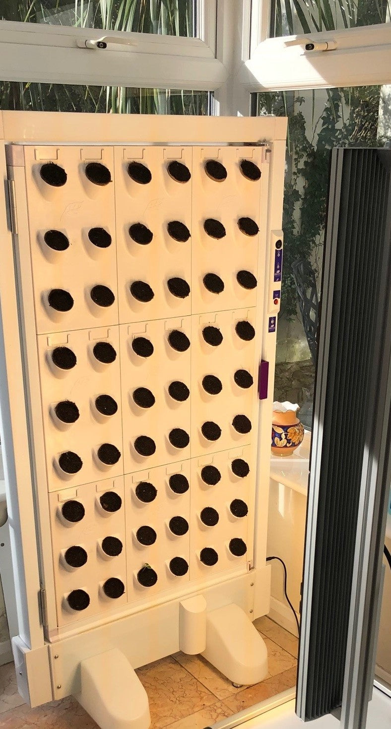 INDOOR HYDROPONIC GROW WALL