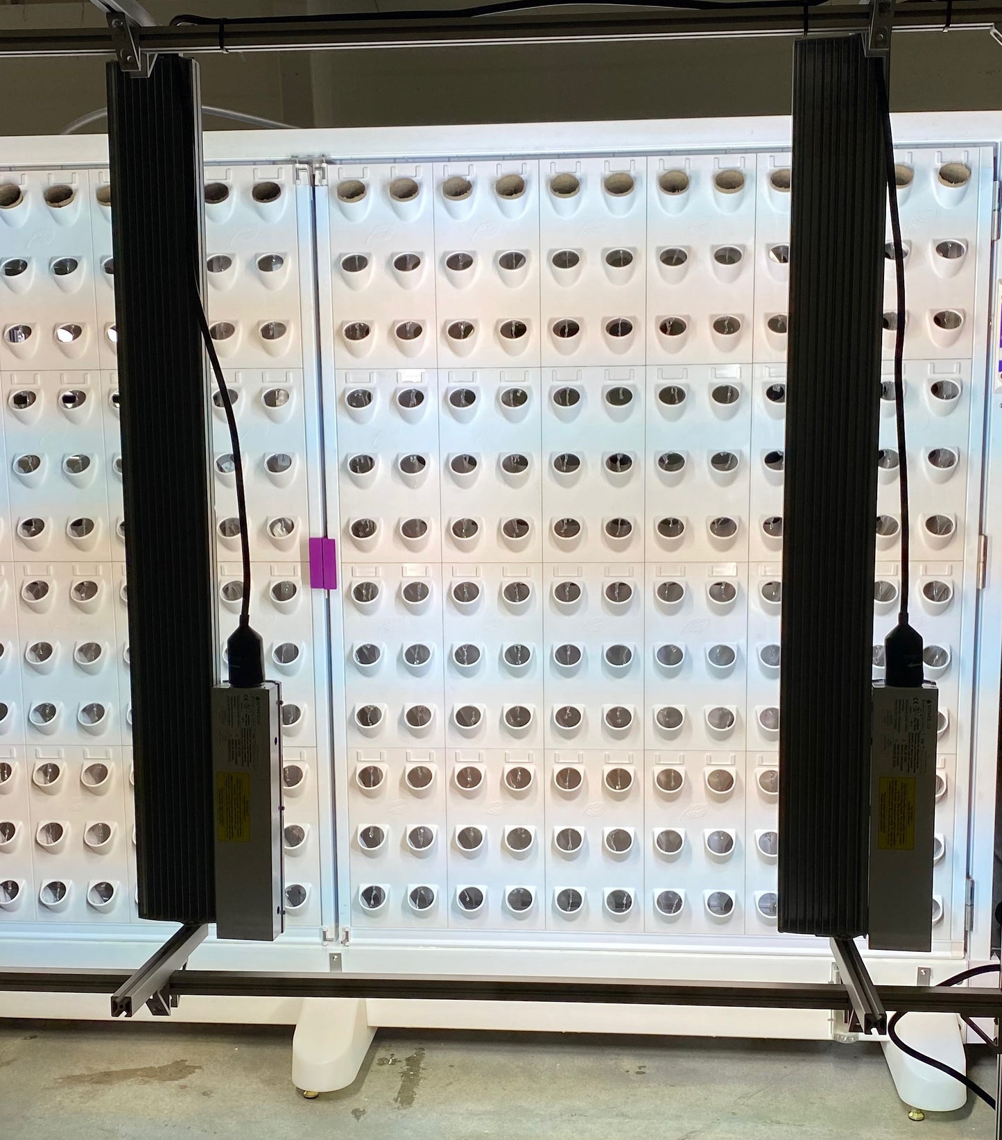 INDOOR HYDROPONIC GROW WALL