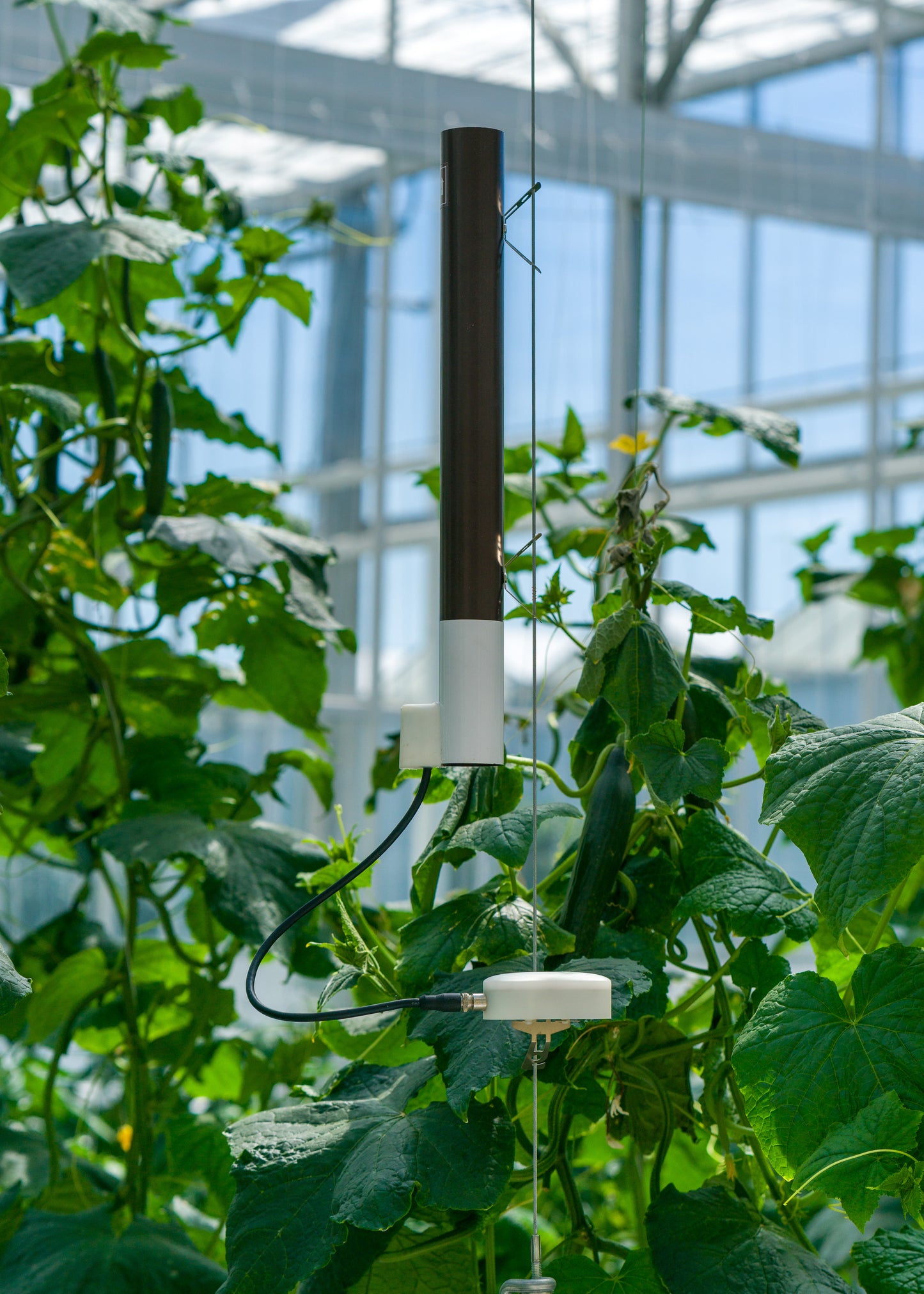  FIREFLY SERIES UNIVERSAL PROBE