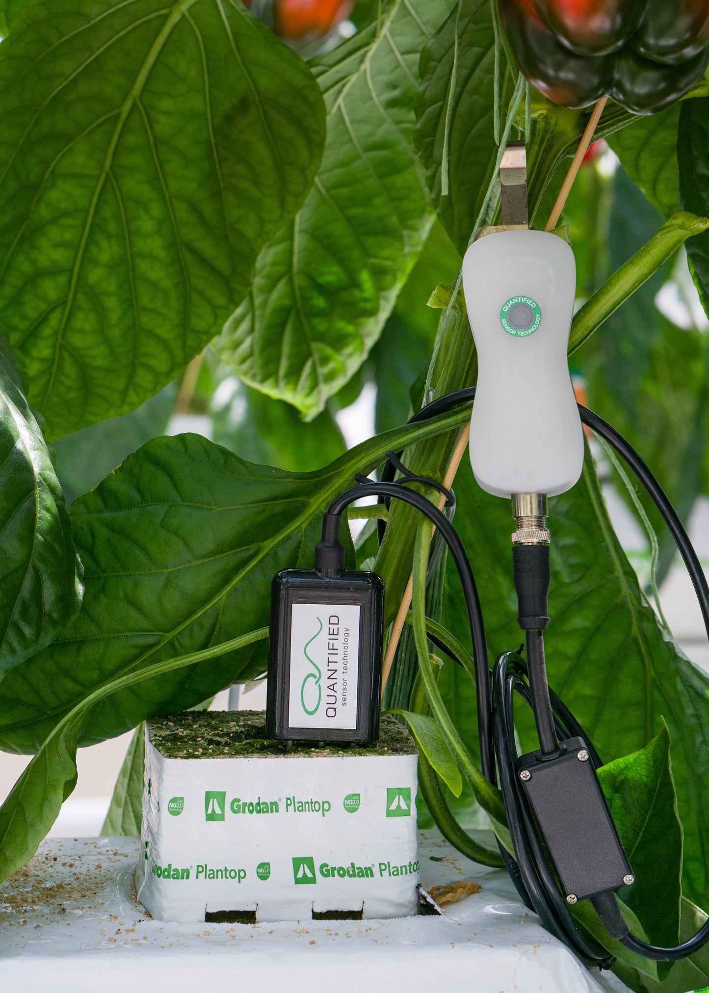  FIREFLY SERIES UNIVERSAL PROBE