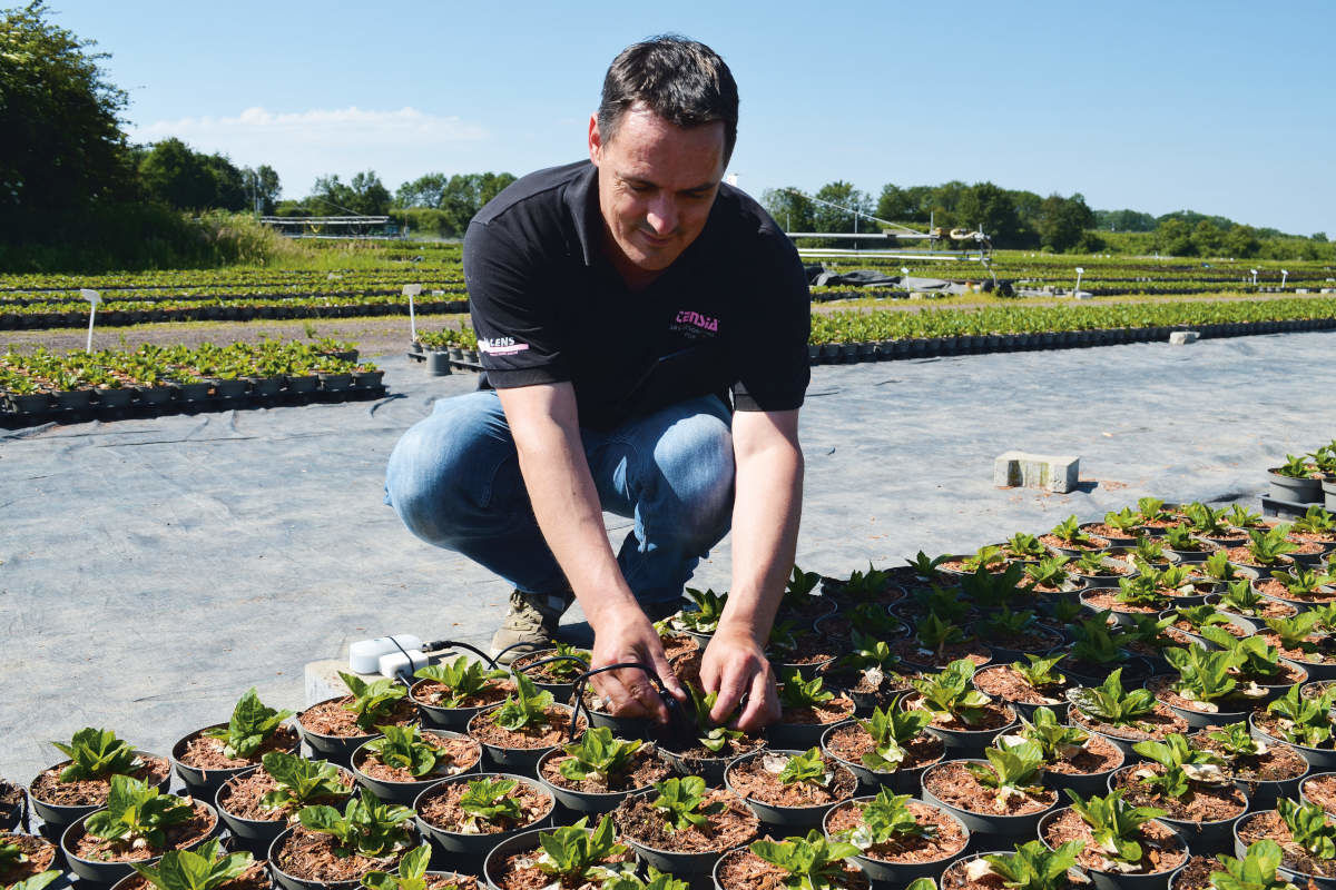  FIREFLY SERIES UNIVERSAL PROBE