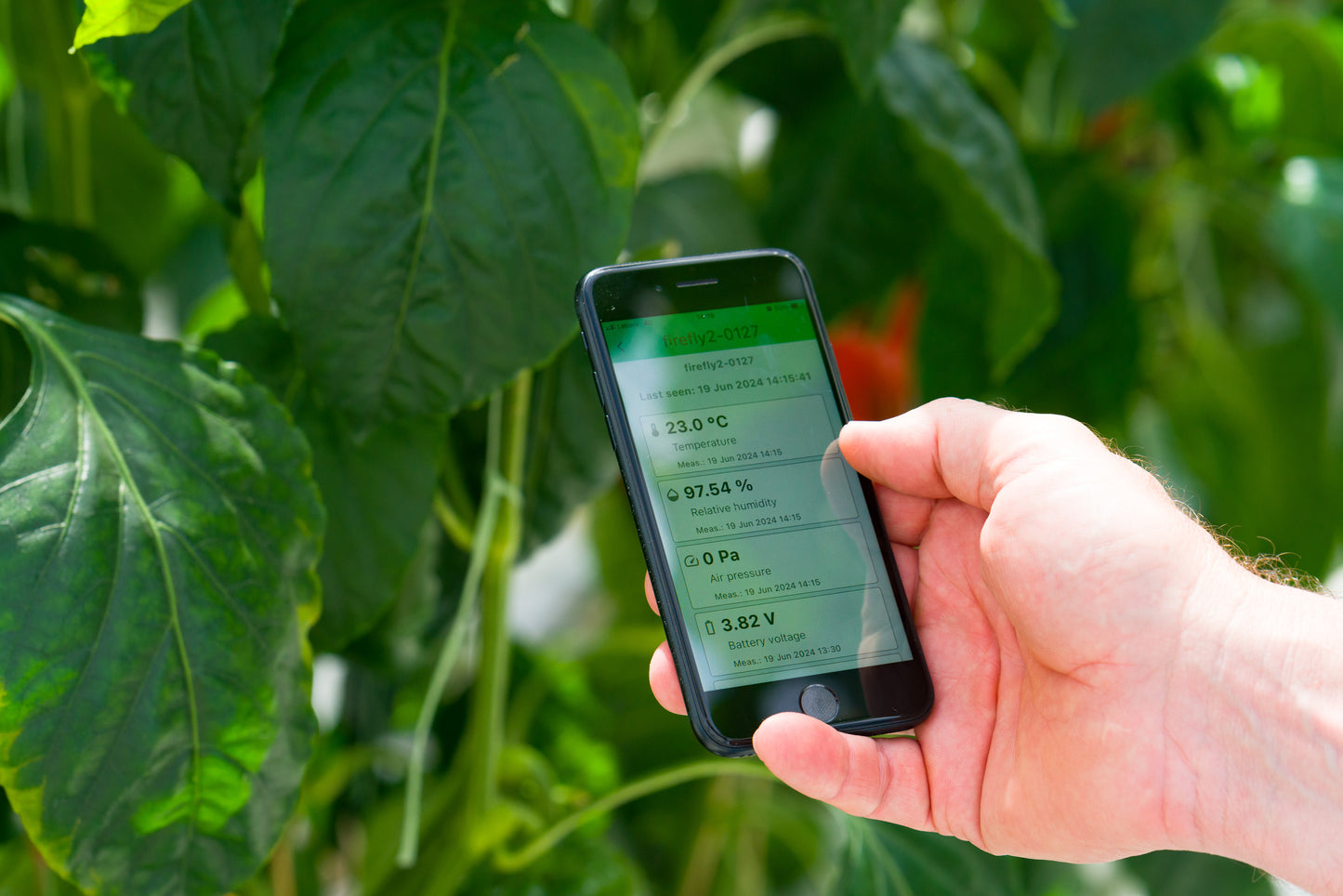  FIREFLY SERIES UNIVERSAL PROBE