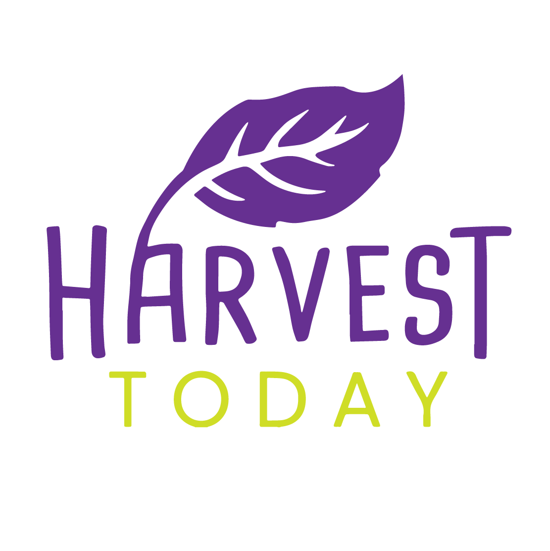 INDOOR HYDROPONIC GROW WALL